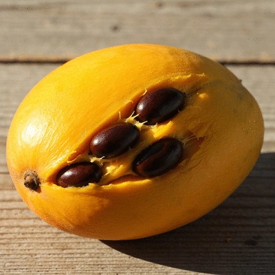 Close-up of African mango fruit and seeds on a rustic wooden surface