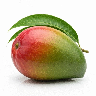 Fresh African mango fruit with leaves on a clean background