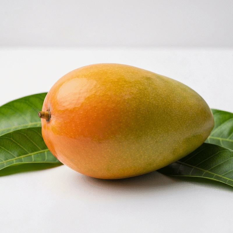Exploring the Bush Mango Benefits